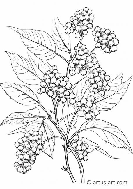 Página para colorear de arbusto de saúco en otoño